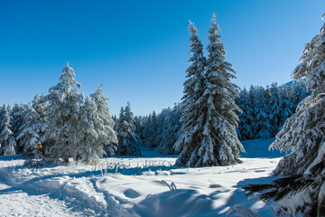 Winter view of Vitosha Mountain, Bulgaria