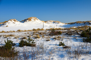 Dunes by the sea in winter