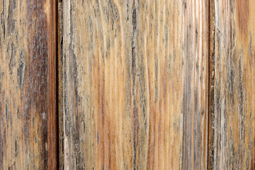Detalle textura madera vieja