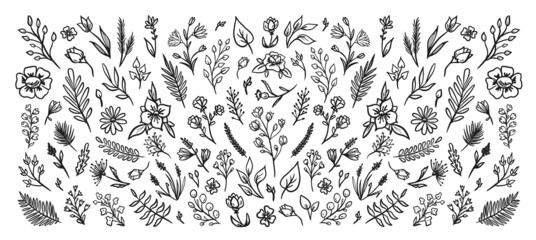 Hand drawn vector vintage elements of flowers,leaves,feathers,sprigs..Vector illustration.Elements can be used for invitations, greeting cards, quotes, blogs, wedding frames, posters. 