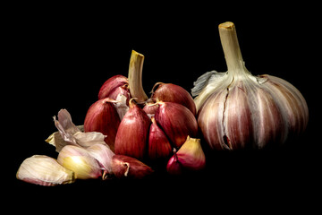 Garlic Cloves and Bulb on dark background in Brazil. Copy space.