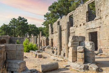 Fototapeta na wymiar Ruins of Seleukeia (Pamphylia, Lyrbe) Ancient Greek city on the Mediterranean coast of Pamphylia. Side, Antalya, Turkey.