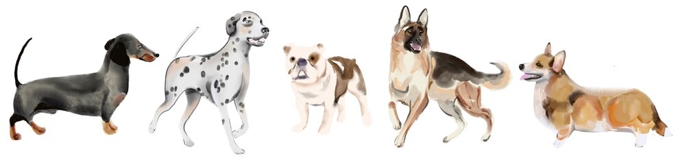 Designer dogs collection isolated on white. Sketch style clipart 