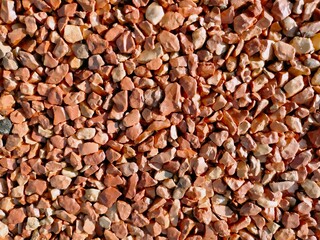 buckwheat groats background