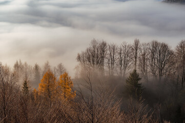 Misty autumn mountains landscape in the morning, Poland, Beskidy mountains, seen from Koziarz.