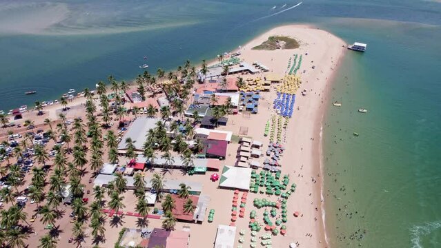 Aerial view of Gunga Beach or "Praia do Gunga", with its clear waters and coconut trees, Maceio, Alagoas. Northeast region of Brazil. 4K