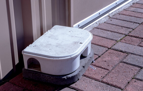 rat trap on a brick sidewalk