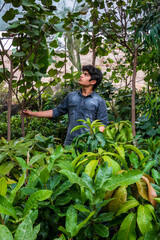 Young male garden owner, growing plants in greenhouse, small business entrepreneur concept