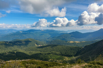 Fototapeta na wymiar Trail to Mount Hoverla. Carpathian Mountains in Ukraine.