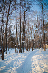 A snow-trodden path in the park at sunset.