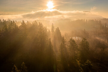 Naklejka na ściany i meble Dense Fog With the Sun Light Rays Streaming Through the Trees in the Forest. Backlit morning light makes a dramatic aerial view of this island forest in the Pacific Northwest.