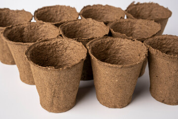 several empty peat pots for seedlings, standing in rows on a white background.
