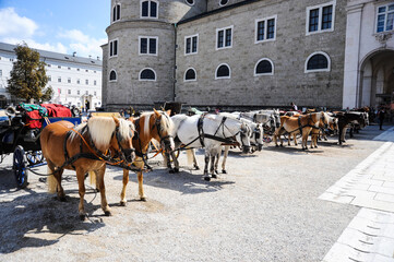 Naklejka na ściany i meble Horse drawn carriages in Residenzplatz Square in Salzburg, Austria.
