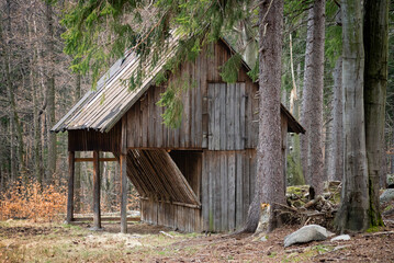 Paśnik dla dzikich zwierząt w Karkonoszach, © Radek