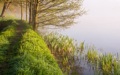 Ścieżka nad stawem. © Radek