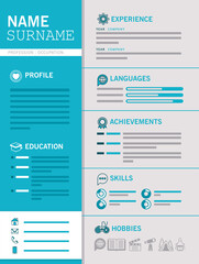 blue professional curriculum