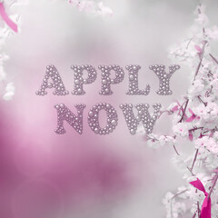 APPLY NOW message on pink background
