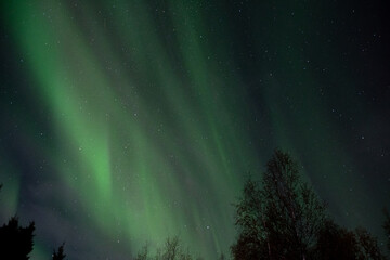 Olas de luz boreal en el cielo del norte  - obrazy, fototapety, plakaty