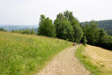 person riding a bike