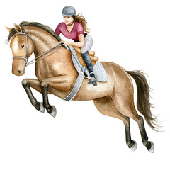 Watercolor horse, hunter jumper, equestrian, horse riding sports, rider, race