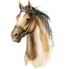 Foto op Canvas Watercolor horse, Brown horse portrait,hunter jumper, equestrian, horse riding sports © Anna