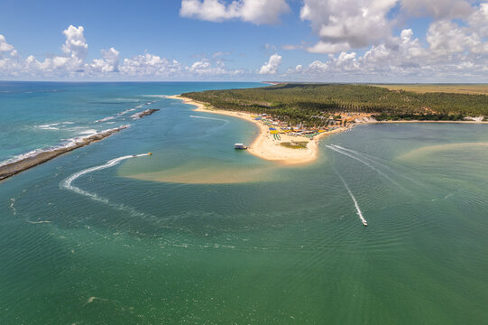 Aerial view of Gunga Beach or "Praia do Gunga", with its clear waters and coconut trees, Maceio, Alagoas. Northeast region of Brazil.