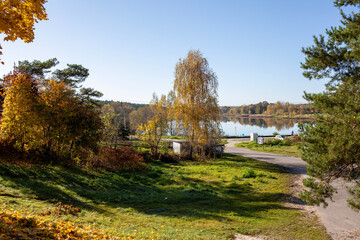 Fototapeta na wymiar autumn in the city