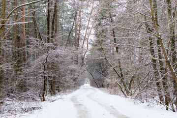 Snow-covered road stretching into the distance on background of winter snow forest