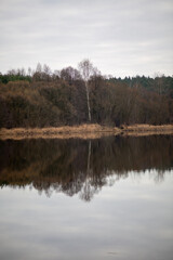 Fototapeta na wymiar reflection in the water