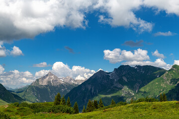 Fototapeta na wymiar Almwiese mit Gebirge am Arlberg, Lechtal