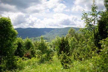 Obraz premium view from the mountain