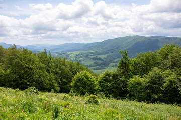 Obraz premium landscape with sky