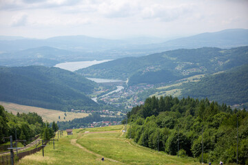 landscape in summer