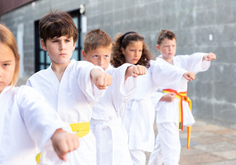 Fototapeta na wymiar Group of schoolchildren, boys and girls, practicing karate at the schoolyard outdoors