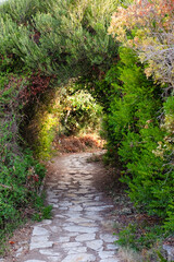 Obraz premium Beautiful arch in green garden