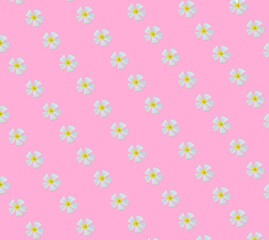 seamless abstract pattern white flowers pink background  Used for designing pants, shirts, clothes and other fabric patterns.  in the textile industry