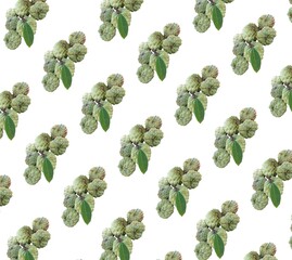 seamless abstract pattern green annana white background  Used for designing trousers, shirts, clothing and other fabric patterns.  in the textile industry