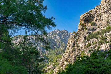 mountain landscape, tops of limestone wooded rocks of the Taurus range