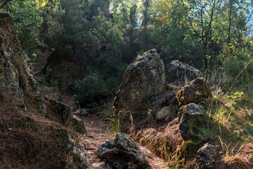 wooded mountain path among granite boulders
