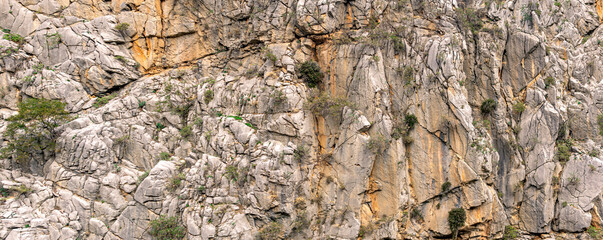 landscape, texture - sheer mountain cliff with cracks and vegetation