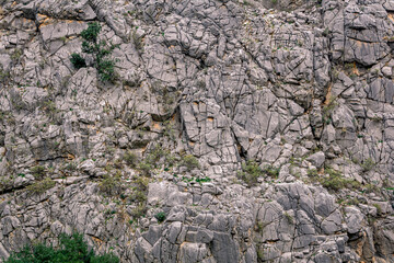 landscape, texture - sheer rocky wall with cracks and vegetation