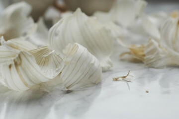 Garlic on the table