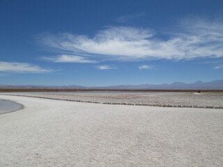 Bast dessert, Atacama