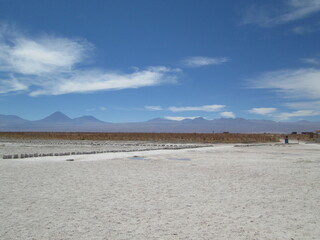 Bast dessert, Atacama