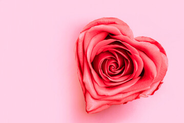 beautiful red rose close-up in the shape of a heart on a light pink background, isolated. Symbol of love