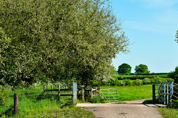 Landscape with an old gate and trees in spring, Kenilworth, England, UK