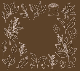 coffee plants card