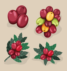 four coffee beans items