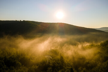 Vibrant foggy evening over dark forest trees at bright summer sunset. Amazingl scenery of wild woodland at dusk