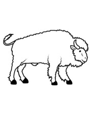 Haariges großes Bison 